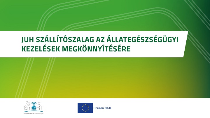 Juh szállítószalag az állategészségügyi kezelések megkönnyítésére