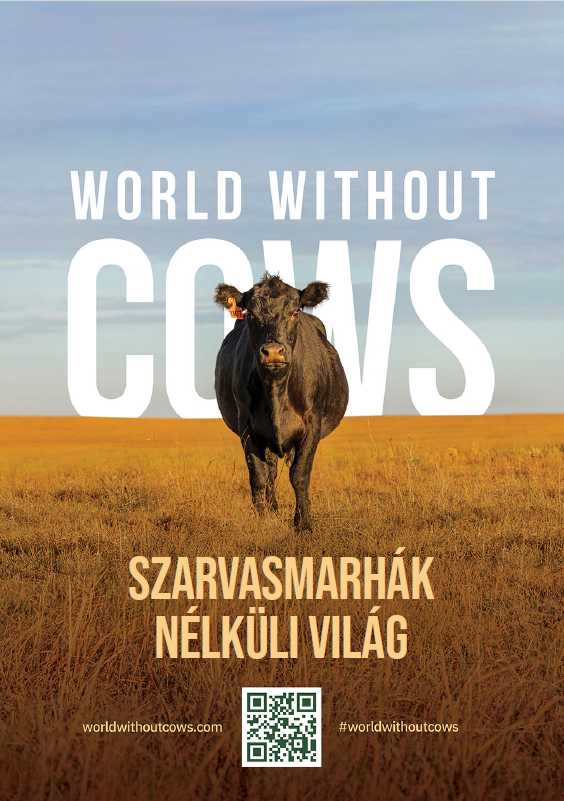 Szarvasmarhák nélküli világ - Hús